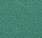 804  Kvadrat